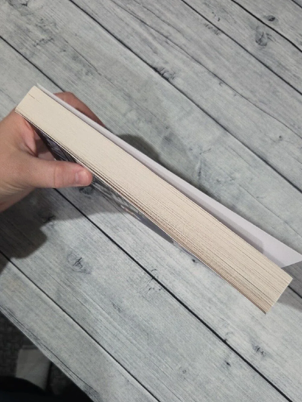 After Disney Hardcover